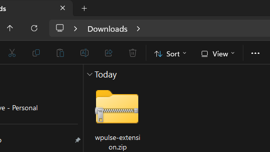The downloaded zip file in your Downloads folder